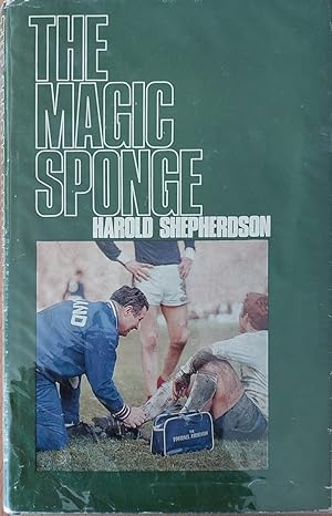 The Magic Sponge