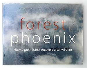 Immagine del venditore per Forest Phoenix: How a Great Forest Recovers After Wildfire venduto da Our Kind Of Books