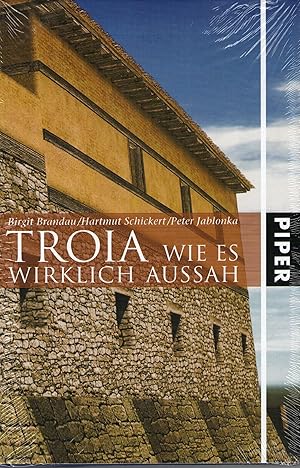 Imagen del vendedor de TROIA: Wie es wirklich aussah a la venta por Gabis Bcherlager