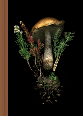 Bild des Verkufers fr Deep Dark Forest Mushroom Journal (Diary) zum Verkauf von BargainBookStores