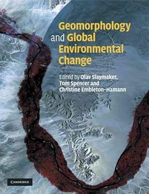 Imagen del vendedor de Geomorphology and Global Environmental Change a la venta por GreatBookPrices