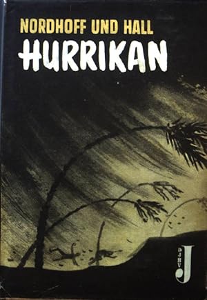 Imagen del vendedor de Hurrikan : Roman. a la venta por books4less (Versandantiquariat Petra Gros GmbH & Co. KG)