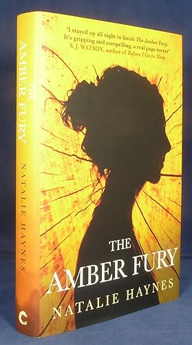 The Amber Fury *First Edition, 1st printing*