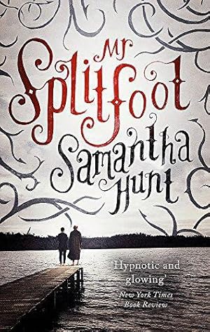 Seller image for Mr Splitfoot for sale by WeBuyBooks