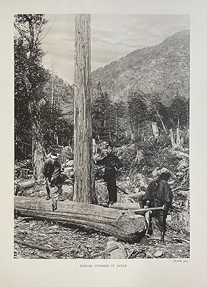 Image du vendeur pour The Trees of Great Britain & Ireland mis en vente par Donald A. Heald Rare Books (ABAA)