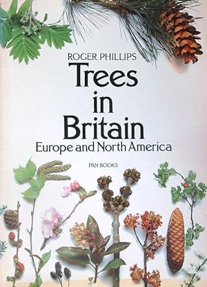Immagine del venditore per Trees in Britain. Europe and North America venduto da Miliardi di Parole