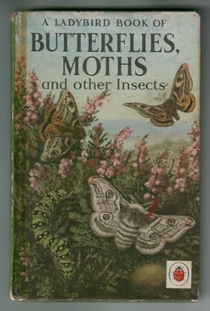 Butterflies, Moths and Other Insects