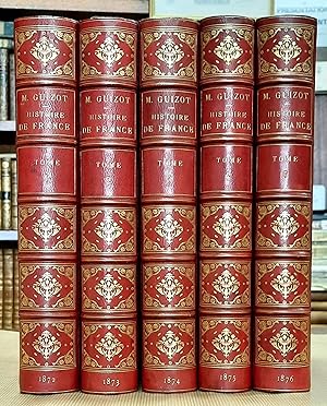 L'histoire de France, depuis les temps les plus reculés jusqu'en 1789, racontée à mes petits-enfa...