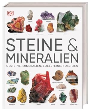 Seller image for Steine & Mineralien : ber 500 faszinierende Gesteine, Minerale, Edelsteine und Fossilien. Mit mehr als 1200 spektakulren Farbfotos for sale by AHA-BUCH GmbH