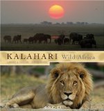 Bild des Verkufers fr Kalahari - Wild Africa zum Verkauf von primatexxt Buchversand
