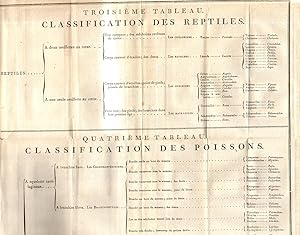 Bild des Verkufers fr Leons d'anatomie compare. Recueillies et publies sous ses yeux par C.Dumril, chef des travaux anatomiques de l'cole de Mdecine de Paris. zum Verkauf von Rdner Versandantiquariat