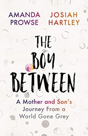 Seller image for The Boy Between: A Mother and Sons Journey From a World Gone Grey for sale by WeBuyBooks