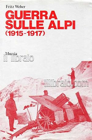 Guerra sulle Alpi (1915 - 1917)