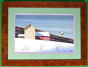 Pheasant Approaching Barn In Winter