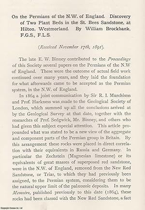 Bild des Verkufers fr The Permians of The N. W. of England. Discovery of Two Plant Beds in The St. Bees Sandstone, at Hilton, Westmorland. An original article from the Memoirs of the Literary and Philosophical Society of Manchester, 1892. zum Verkauf von Cosmo Books