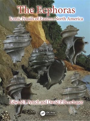 Bild des Verkufers fr Ecphoras : Iconic Fossils of Eastern North America zum Verkauf von GreatBookPrices