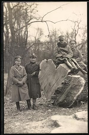 Bild des Verkufers fr Fotografie Soldaten der Reichswehr nebst Frster und gefllter Eiche zum Verkauf von Bartko-Reher