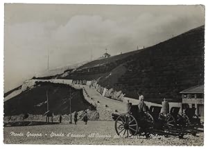 MONTE GRAPPA - Strada d'accesso allOssario della Caserma Milano - Cartolina del 1950 viaggiata. O...