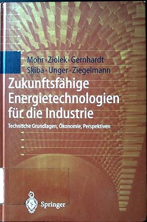 Zukunftsfähige Energietechnologien für die Industrie : technische Grundlagen, Ökonomie, Perspekti...