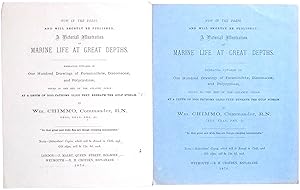 Two prospectuses for Chimmo's book, A Pictorial Illustration of Marine Life at Great Depths [publ...