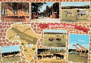 Postkarte Carte Postale 73917395 Stukenbrock Schloss Holte-Stukenbrock Grosswild Safari