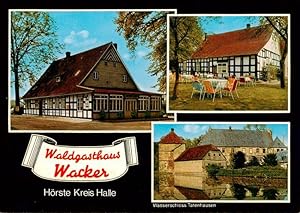 Postkarte Carte Postale 73919872 Hoerste Halle Waldgasthaus Wacker Freiterrasse Wasserschloss Tat...