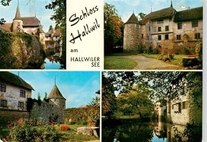Postkarte Carte Postale 13918342 Hallwil Hallwyl AG Schloss Hallwil am Hallwiler See