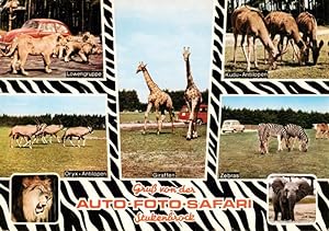 Postkarte Carte Postale 73917246 Stukenbrock Schloss Holte-Stukenbrock Senne Grosswild Safari Loe...
