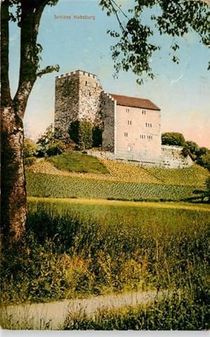 Postkarte Carte Postale 13920486 Schinznach Bad Schloss Habsburg