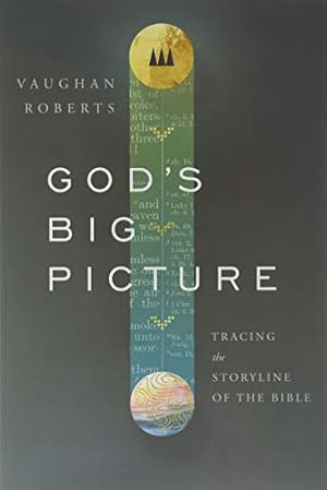 Imagen del vendedor de God's Big Picture: Tracing the Storyline of the Bible a la venta por -OnTimeBooks-