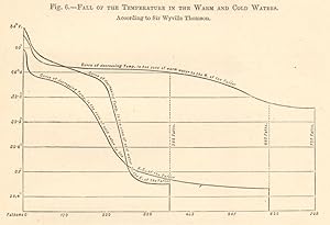 Fall of the Temperature in the Warm and Cold Waters According to Sir Wyville Thomson