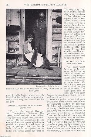 Seller image for A Northern Crusoe's Island. Life on a Fox Farm Off the Coast of Alaska, From from Contact with the World Eleven Months a Year. An original article from the National Geographic Magazine, 1923. for sale by Cosmo Books