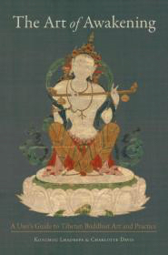 Seller image for The Art of Awakening: A User's Guide to Tibetan Buddhist Art and Practice for sale by Monroe Street Books