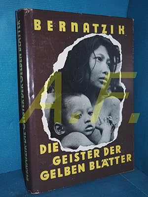 Bild des Verkufers fr Die Geister der gelben Bltter. Forschungsreisen in Hinterindien. Mit 104 Abbildungen und einer Karte. zum Verkauf von Antiquarische Fundgrube e.U.