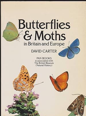 Imagen del vendedor de BUTTERFLIES AND MOTHS IN BRITAIN AND EUROPE a la venta por Easton's Books, Inc.