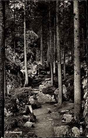 Bild des Verkufers fr Ansichtskarte / Postkarte Ramsau im Berchtesgadener Land Oberbayern, Zauberwald zum Verkauf von akpool GmbH