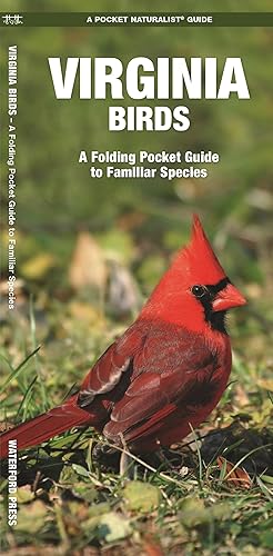 Seller image for Virginia Birds: A Folding Pocket Guide to Familiar Species for sale by moluna