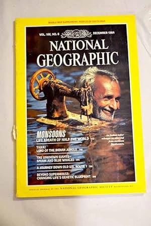 Seller image for National Geographic Magazine, Ao 1984, vol. 166, n 6:: Monsoons: life breath of half the world; Tiger! lord of the indian jungle; The unknown giants: rare look at sperm and blue whales; The one less traveled by.: a journey down old U.S. 1; Beyond supermouse: changing life's genetic blueprint for sale by Alcan Libros