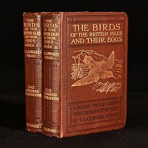 Birds of the British Isles and Their Eggs