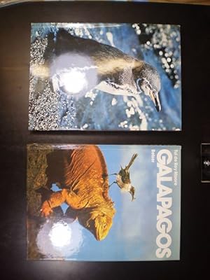 Konvolut aus 3 Bänden zum Thema Galapagos