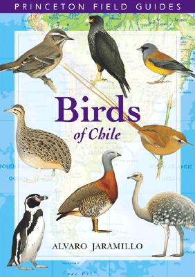 Seller image for Birds of Chile (Paperback or Softback) for sale by BargainBookStores