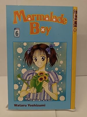 Marmalade Boy, Vol. 6