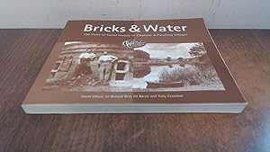 Bild des Verkufers fr Bricks and Water, 100 years of social history in Clapham and patching Villages zum Verkauf von BoundlessBookstore