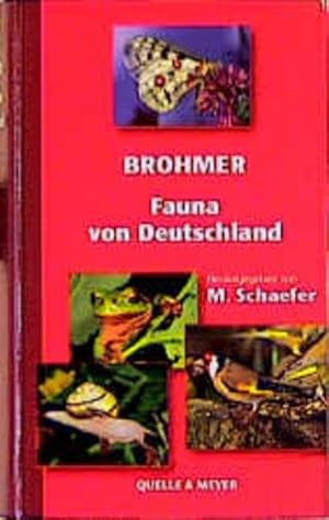 Image du vendeur pour Brohmer. Fauna von Deutschland. Ein Bestimmungsbuch unserer heimischen Tierwelt mis en vente par Studibuch