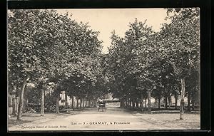Carte postale Gramat, La Promenade