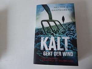 Imagen del vendedor de Kalt geht der Wind. Inka Luhmann ermittelt im Sauerland. TB a la venta por Deichkieker Bcherkiste