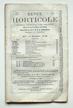 Imagen del vendedor de Revue Horticole. Journal d'Horticulture Pratique. 49e anne 1er Dcembre 1877 No 23. a la venta por Versandantiquariat Hsl