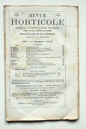 Imagen del vendedor de Revue Horticole. Journal d'Horticulture Pratique. 49e anne 1er Novembre 1877 No 21. a la venta por Versandantiquariat Hsl