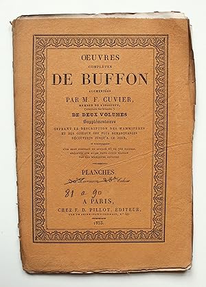 Image du vendeur pour Oeuvres compltes de Buffon augmentes de deux volumes supplmentaires. Planches 81 - 90 de tome 17. mis en vente par Versandantiquariat Hsl