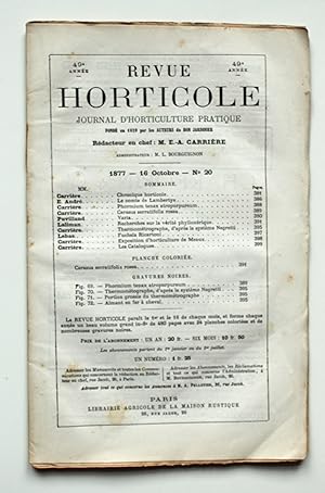 Bild des Verkufers fr Revue Horticole. Journal d'Horticulture Pratique. 49e anne 16 Octobre 1877 No 20. zum Verkauf von Versandantiquariat Hsl